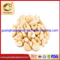 Roasted Cashew Ww320 Plump Cashew Nut Kernels